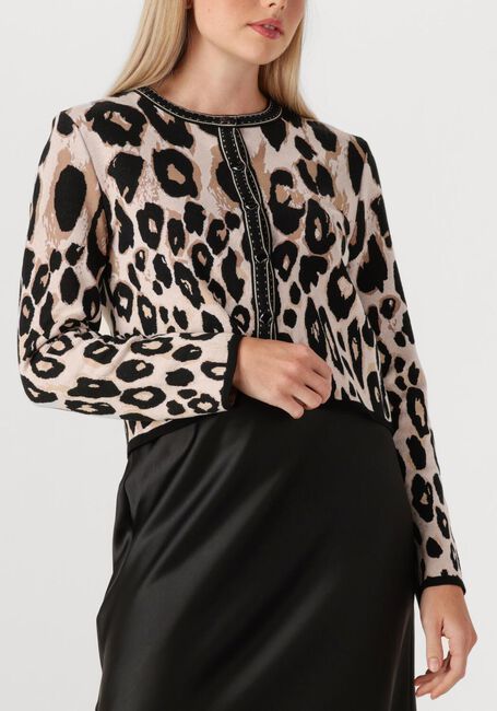 Bruine MARC CAIN COLLECTION Trui ZC 39.09 M21 - large
