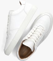 Witte STEFANO LAURAN Sneakers S3271 - medium