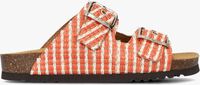 Oranje SCHOLL Slippers NOELLE RAFFIA - medium