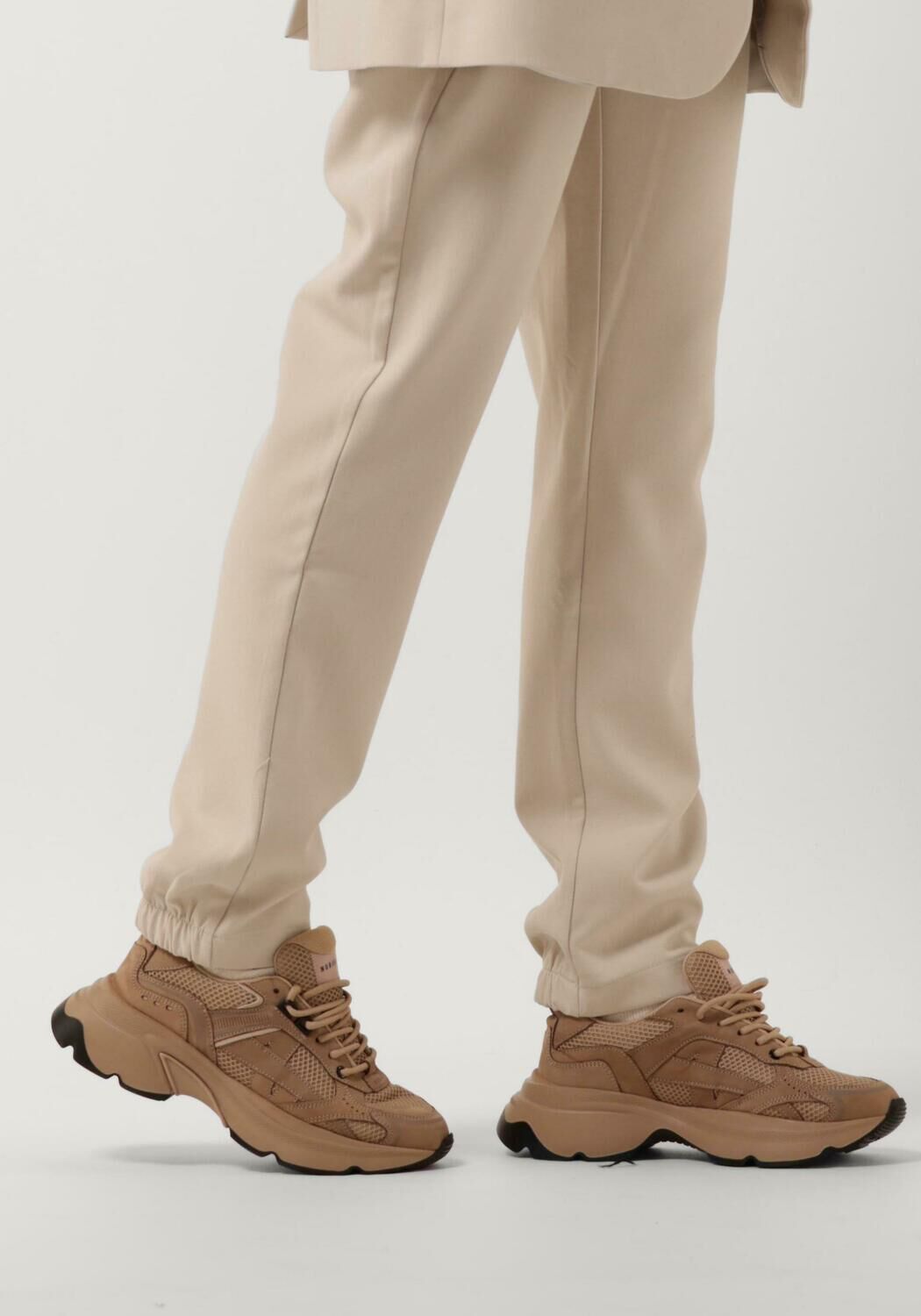 Camel NUBIKK Lage sneakers ROSS NOMAD - large