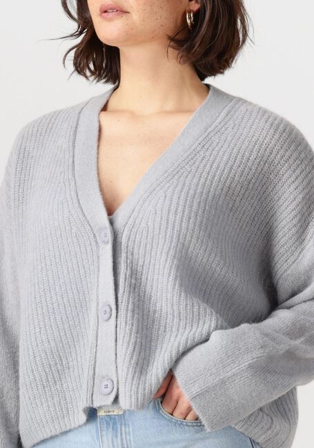 Blauwe DANTE6 Vest UTAH CROPPED CARDIGAN - large