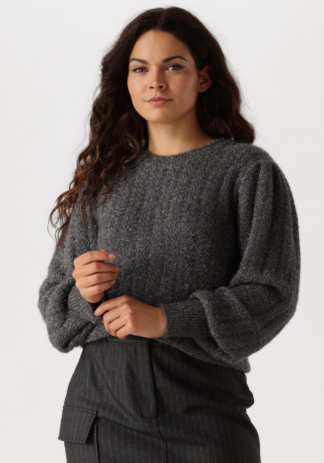AAIKO Trui Dames Femme Pes 377, Maat: L, Kleur: Grijs