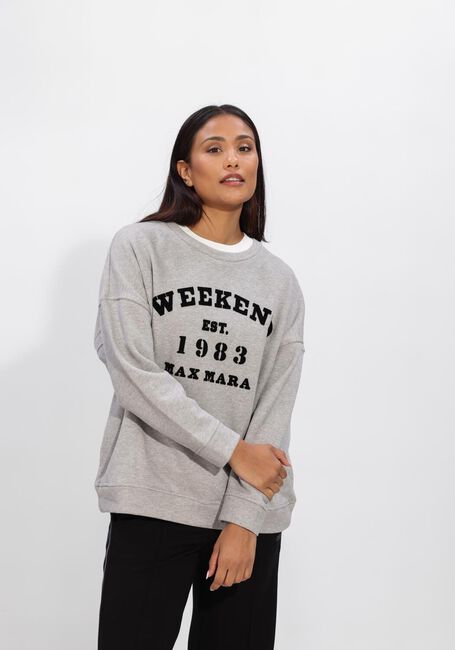 Grijze MAX MARA Sweater GOMMOSO - large