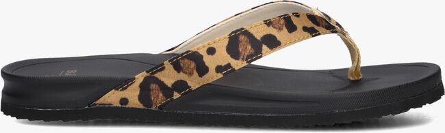 Bruine BLASZ Teenslippers BELLA 2402 Bruine BLASZ Teenslippers BELLA 2402 - large