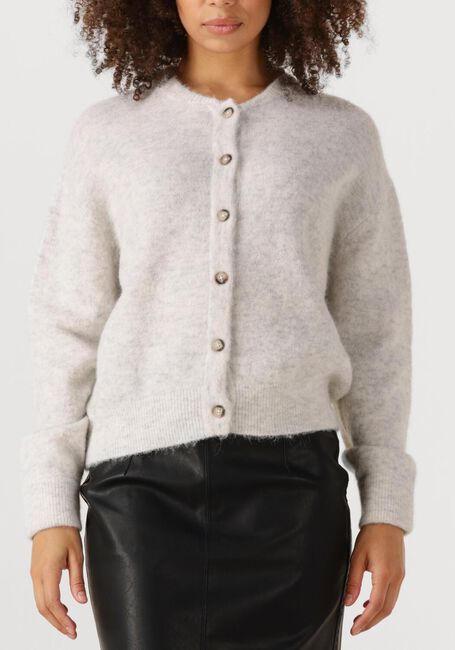 Grijze KNIT-TED Vest BRITNEY - large