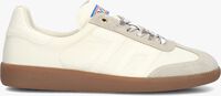 BACK70 GHOST - medium