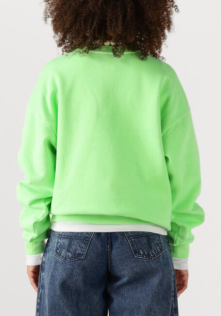 Groene STIEGLITZ Sweater CRUZ SWEATER2 - large