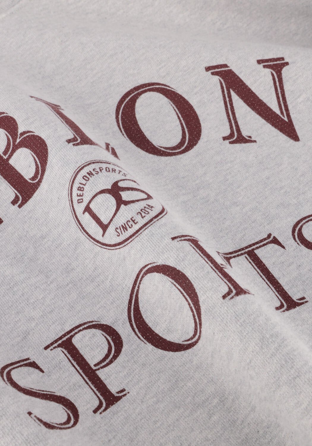 Lichtgrijze DEBLON SPORTS Sweater LILOU SWEATER - large