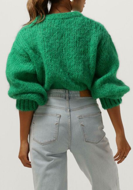 Groene AMERICAN DREAMS Trui LEONNIE ALPACA PULLOVER - large