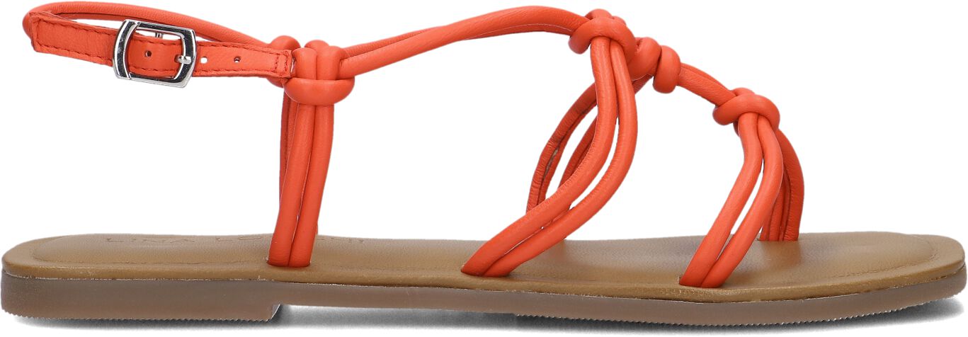 Lina Locchi Sandalen
Dames L1285, Maat: 36, Materiaal: Leer, Kleur: Oranje