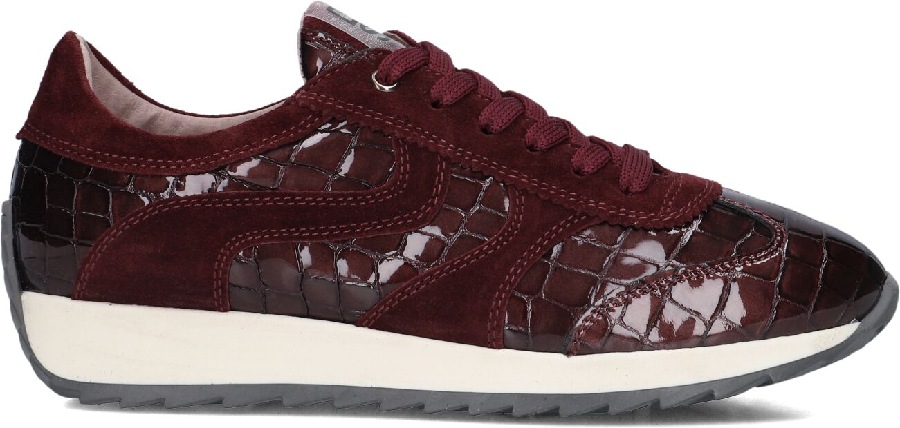 Dl Sport DL Sport Lage Sneakers Dames 6745