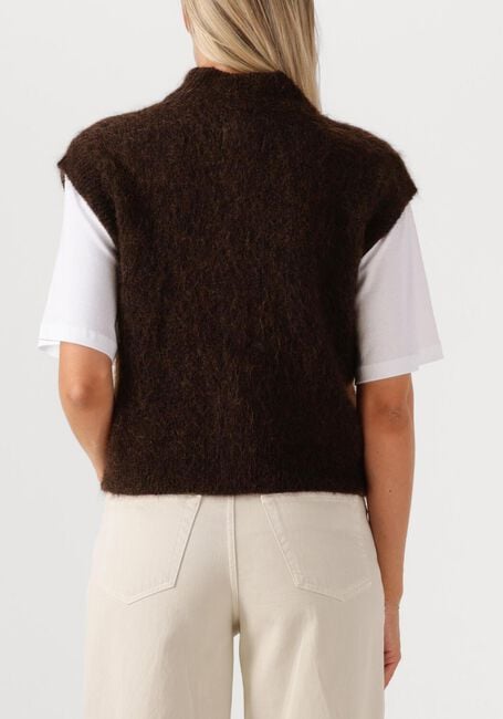 Bruine DES PETITS HAUTS Spencer ALIBOU - large