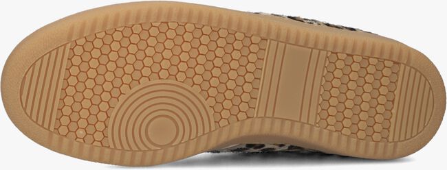 Bruine NUBIKK Lage sneakers RAY OWEN STUDS Assem1