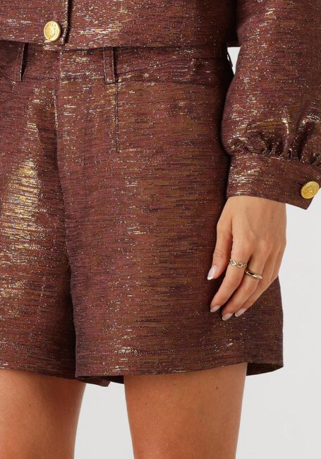 Bronzen AMAYA AMSTERDAM Korte broek RILEY SHORT - large