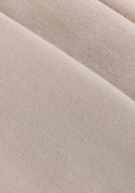 Beige FILIPPO DE LAURENTIIS Trui G COLLO ML RAGLAN R MERINO - large