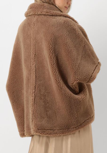 Camel ALTER EGO Jack ELIN - large
