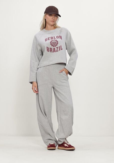 Grijze DEBLON SPORTS Broeken JAYDEN WIDE LEG JOGGER - large