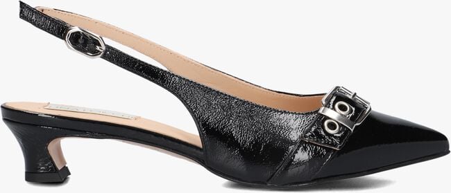 Zwarte LINA LOCCHI Slingbacks AU 23 Zwarte LINA LOCCHI Slingbacks AU 23 - large