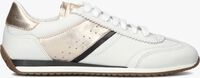 Witte STEFANO LAURAN Lage sneakers 1TAGE1031 - medium