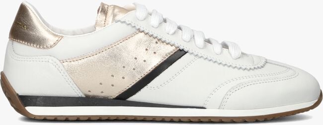 Witte STEFANO LAURAN Lage sneakers 1TAGE1031 Witte STEFANO LAURAN Lage sneakers 1TAGE1031 - large