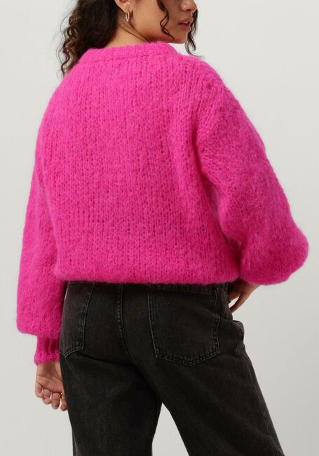Roze AMERICAN DREAMS Trui LEONNIE ALPACA PULLOVER - large