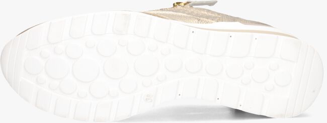 Gouden DL SPORT Lage sneakers 6574 Gouden DL SPORT Lage sneakers 6574 - large