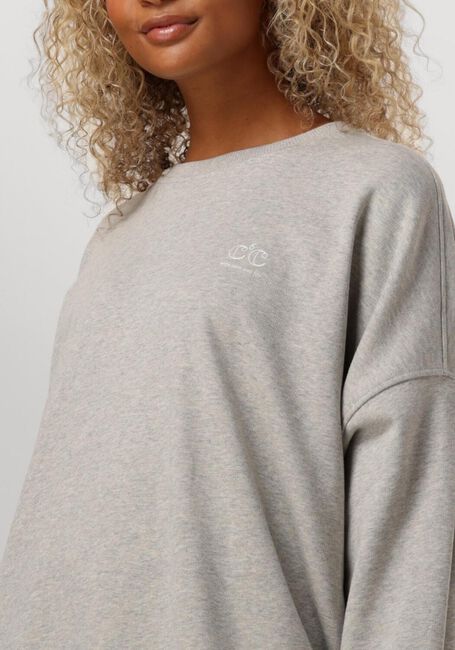 Grijze CO'COUTURE Mini jurk CLEAN OVERSIZED SWEAT DRESS - large