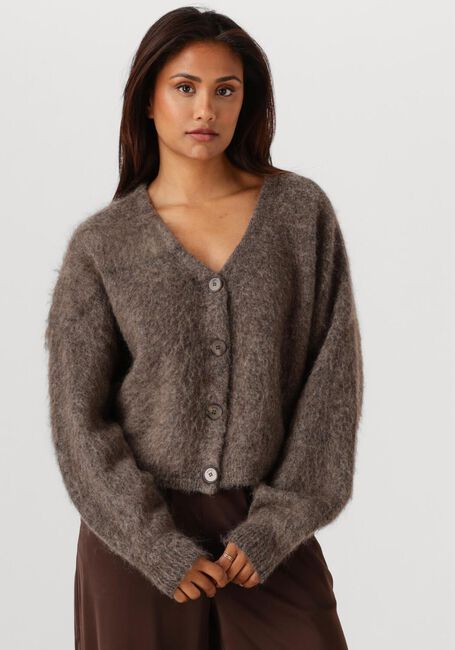 Bruine GESTUZ Vest GZDEBBIE CARDIGAN - large