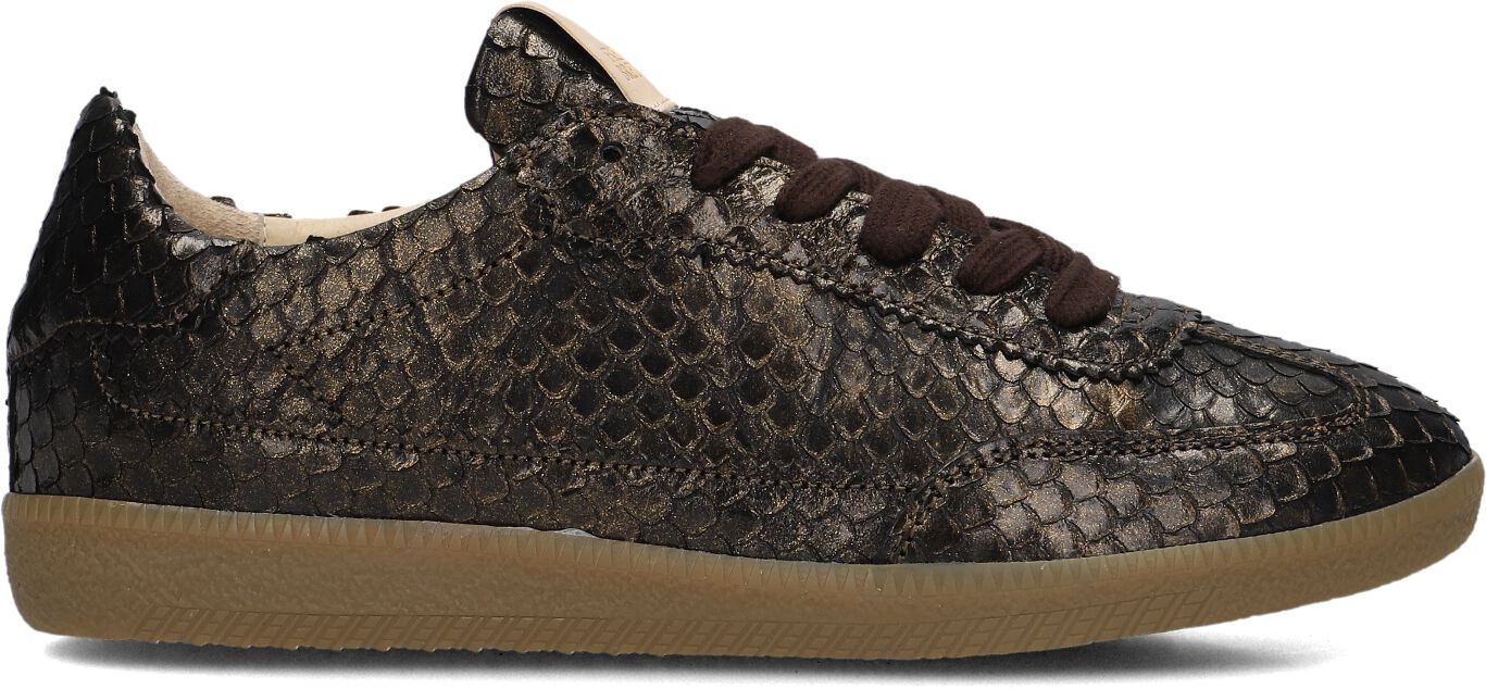 Fred de la Bretoniere,  Pearl Base