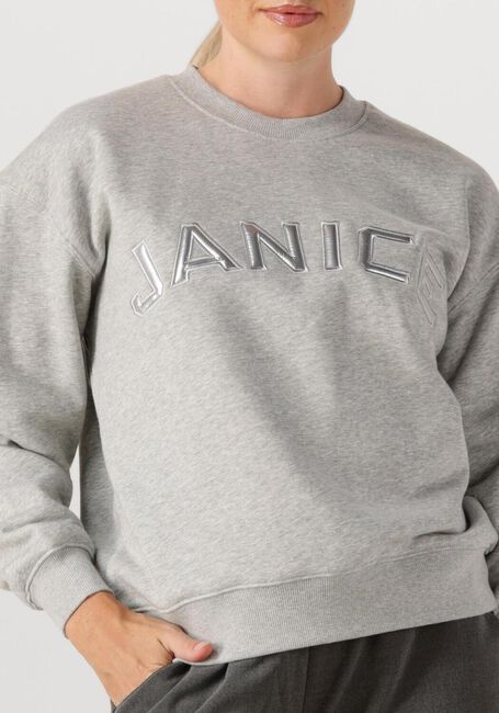 Grijze JANICE Sweater ANDY - large