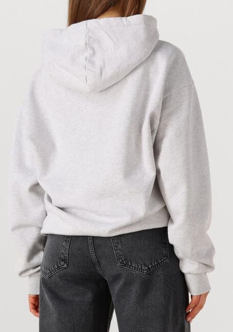 Lichtgrijze STIEGLITZ Trui CISCO HOODIE - large