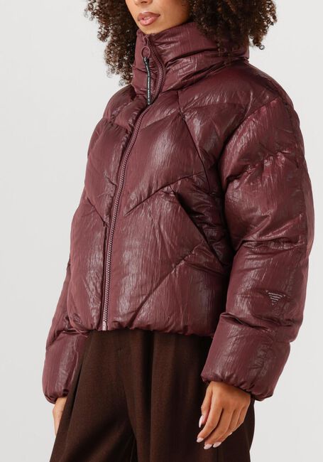 Bordeaux KRAKATAU Gewatteerde jas QW531 - large