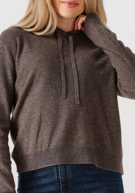 Bruine ABSOLUT CASHMERE Trui EMMA - large
