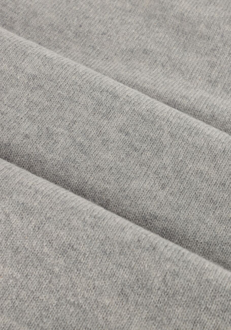 Lichtgrijze LISA YANG Rokken DOLLY SKIRT - large