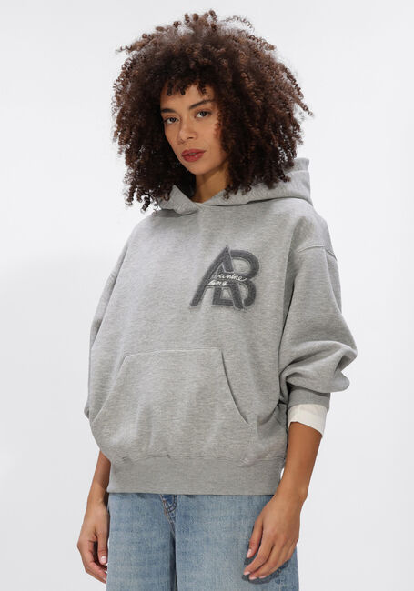 Grijze ANINE BING Truien/vesten JACI HOODIE LETTERMAN - large