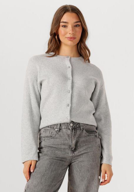 Lichtgrijze PENN & INK Vest CARDIGAN W25B345 - large