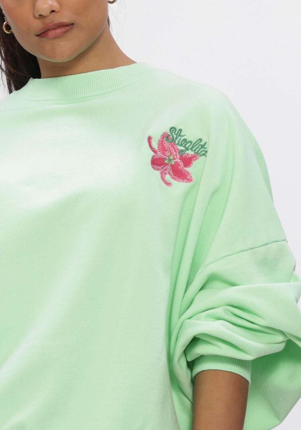 Groene STIEGLITZ Truien/vesten NOVIA OVERSIZED SWEATER - large