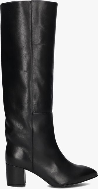 TORAL 12776 TORAL 12776 - large