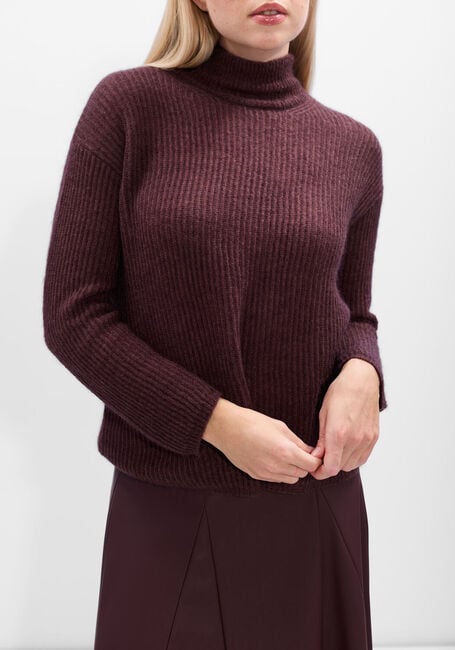 Bordeaux MAX MARA Trui TENNA - large