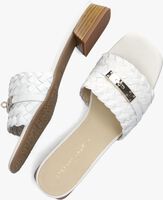 Witte STEFANO LAURAN Slippers 24500 - medium