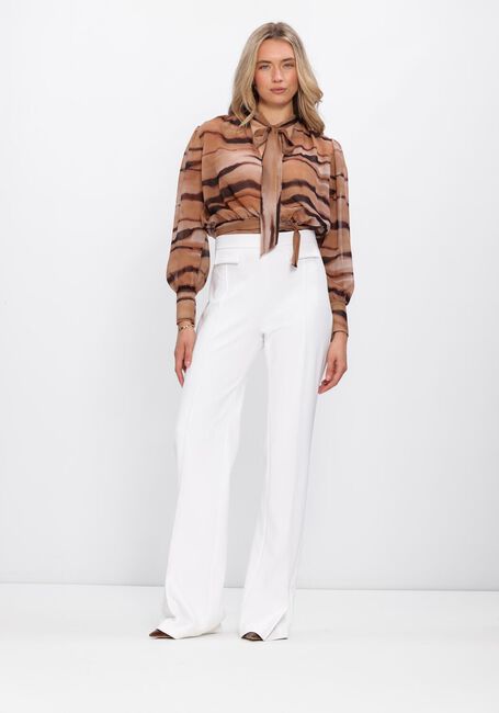 Witte ELISABETTA FRANCHI Pantalon PA17161E2 - large