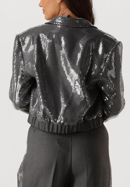Grijze AAIKO Blazer MILLE SEQUINS PES 356 - large