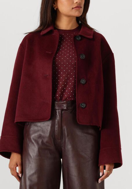 Bordeaux STUDIO AR Teddy jas NICOLINA - large