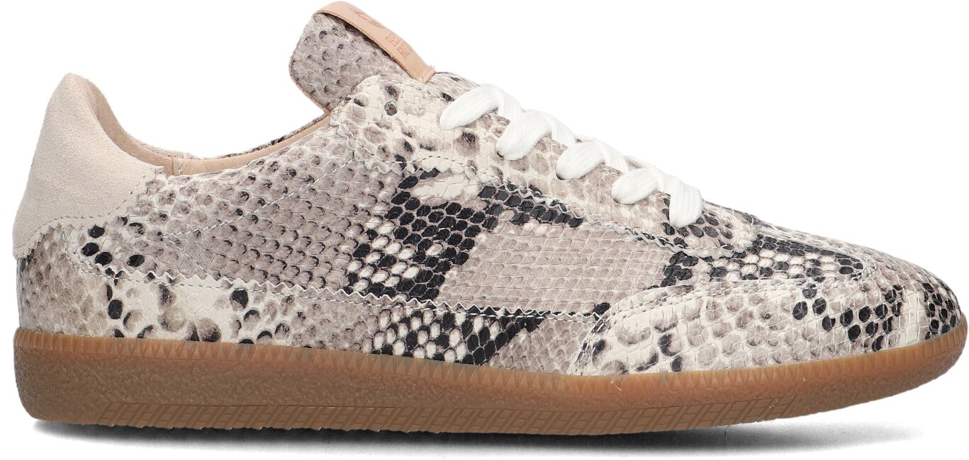 Fred de la Bretoniere Lage Sneakers Dames Pearl Sign, Maat: 36, Materiaal: Leer, Kleur: Beige