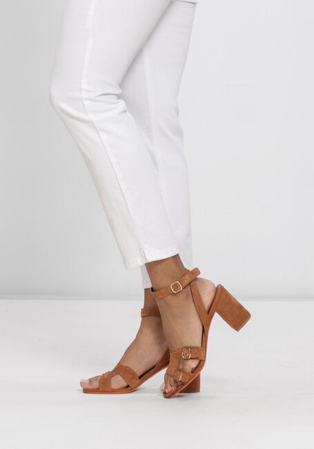 Bruine SANTONI Sandalen DIDI-FLAIR75 - large