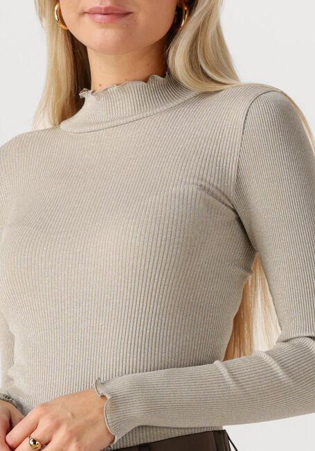 Zand ROSEMUNDE Top BOSTON TURTLENECK W/ LUREX - large