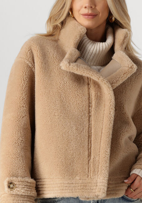 Camel IBANA Jack CHRIS - large