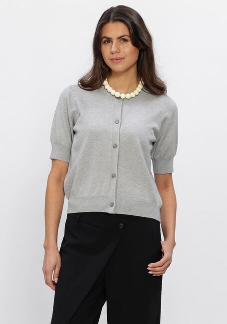 Lichtgrijze STUDIO AR Vest NOOR VISCOSE KNIT - large