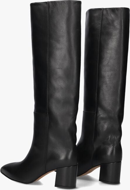 TORAL 12776 TORAL 12776 - large