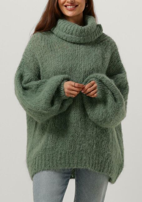 Groene AMERICAN DREAMS Coltrui PEPPER ROLL NECK ALPACA PULLOVER - large